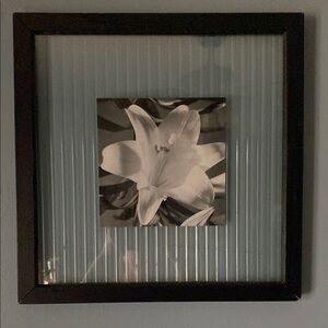 Black Framed Floral Wall Art Due to weight this item cannot be bundled.